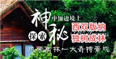男男操到出水黄片